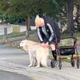 A golden retriever gives her friend a gift.