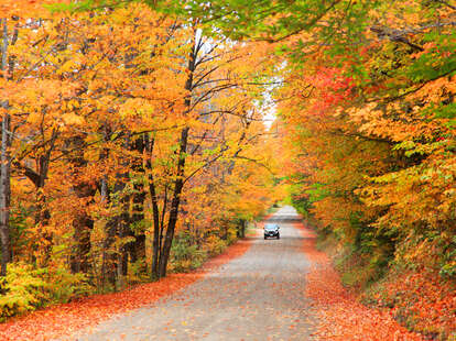 White Mountain National Forest