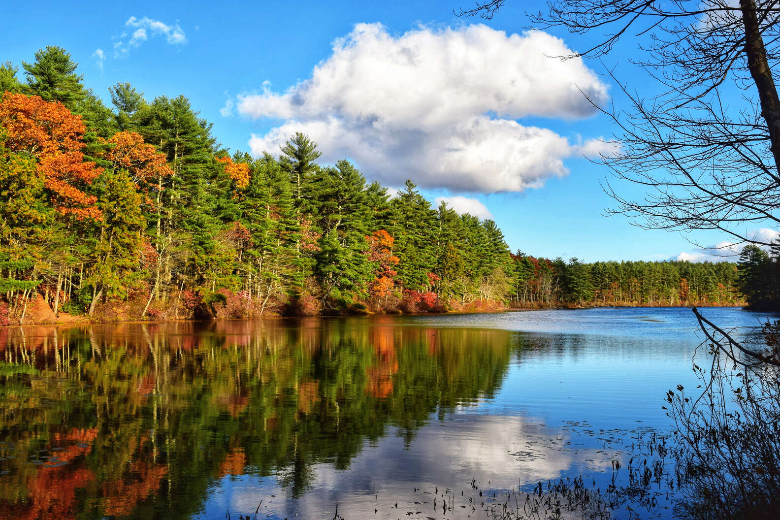 Fall Foliage In New England: Best Leaf-peeping Across All Six States 