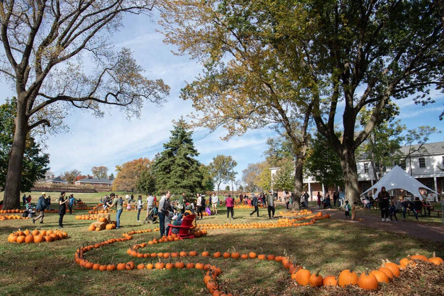 Free Pumpkin Patch Is Returning to Governors Island This October