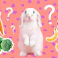 what do rabbits eat