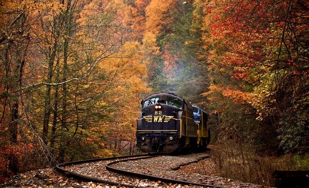 Fall Foliage Train Rides: Most Scenic Railroads to See the Leaves Change -  Thrillist