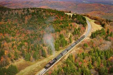 a train chugging through a thick autumnal forest