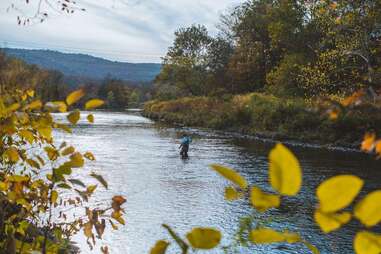 Catskill Fly Fishing Center and Museum