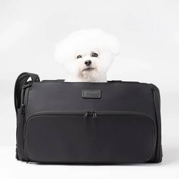 Diggs Passenger Travel Carrier Review: Why This Bag Is A Must-Have For Pets  On The Go - Paw of Approval - The Dodo