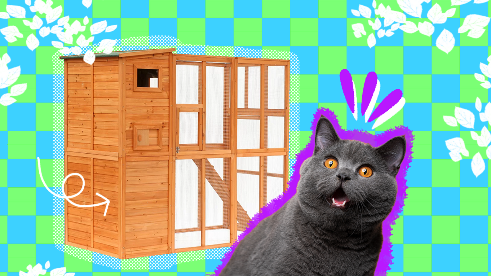 Outdoor Cat Enclosure 7 Catio Options Your Kitty Will Love DodoWell