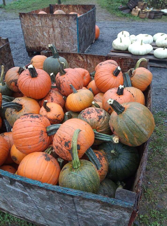 pumpkins in a cart