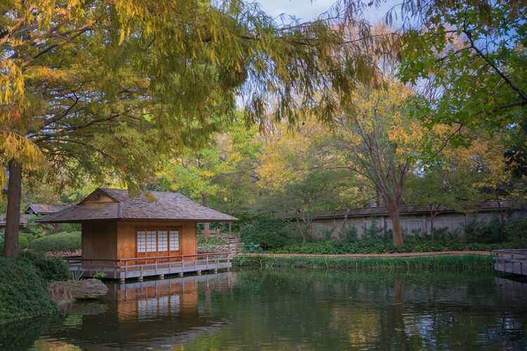 Fort Worth Botanic Garden