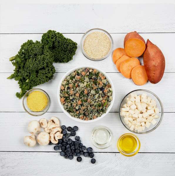 JustFoodForDogs Opens First Kitchen for Dogs on NYC's Upper West Side