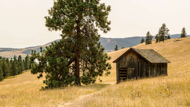 Wild Horse Island in Montana