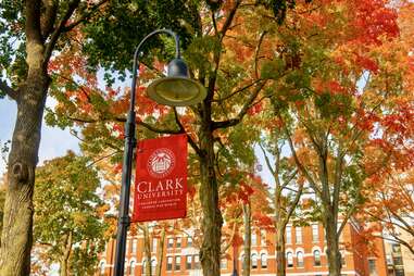changing color leaves on Clark campus