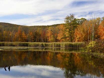 Pleasant Valley Wildlife Sanctuary