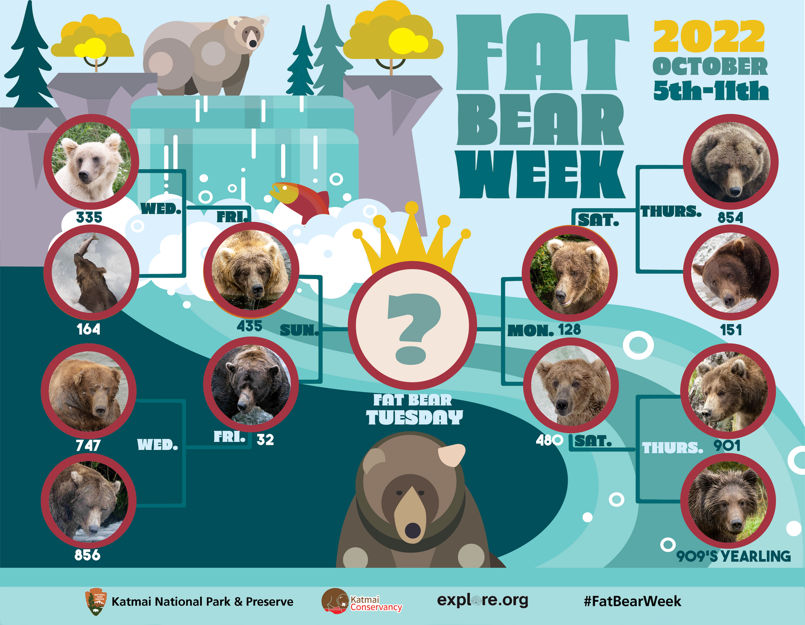 Fat Bear Week 2022 Is Here: Voting, Candidates, and Bracket - Thrillist