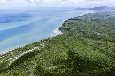 aerial view of daintree national park