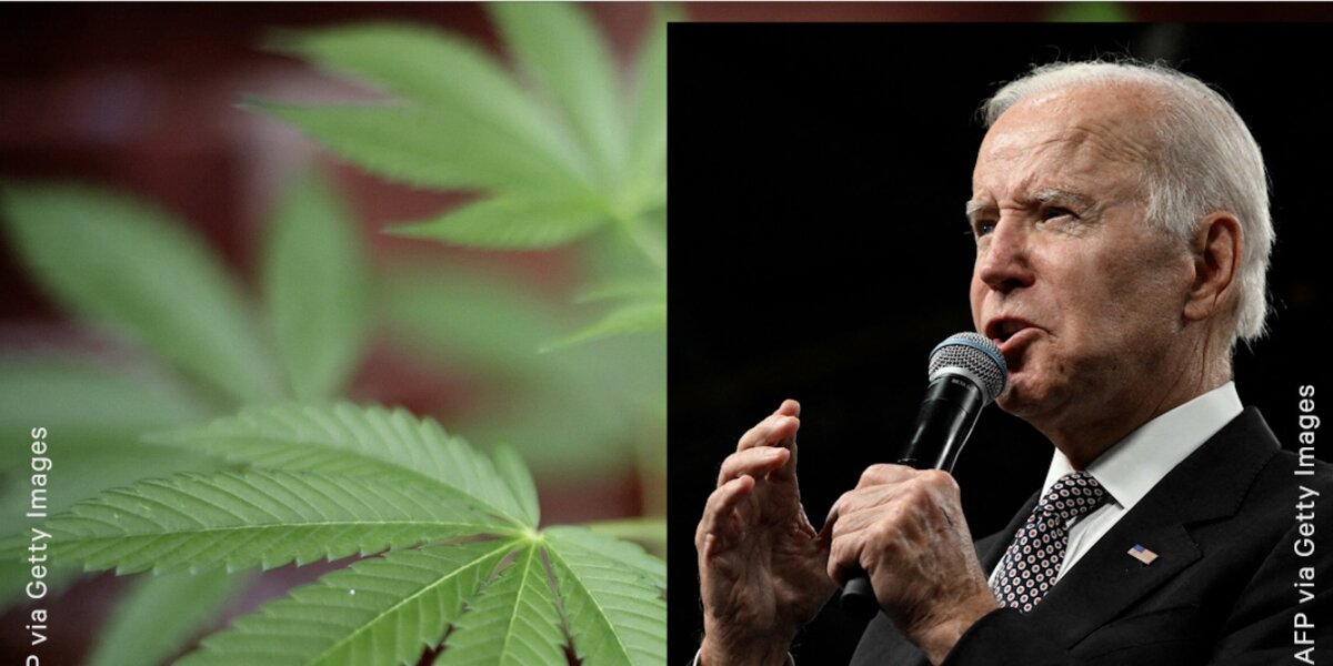 Biden's Drug Offense Pardons, an NFL Player's Cannabis-Inspired NFT, & NJ's  First Day of Rec.