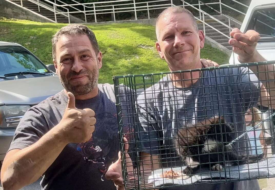 two men holding cat in cage 