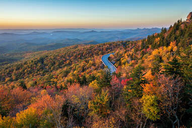 Lynn Cove Viaduct snakes through forest