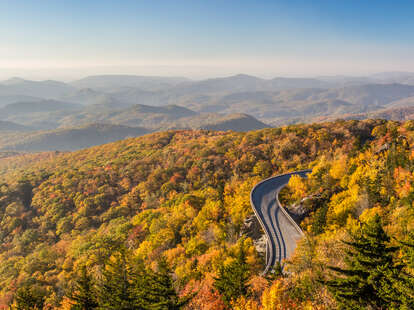 Blue ridge parkway through forest