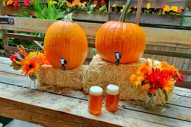 Loreley Beer Garden