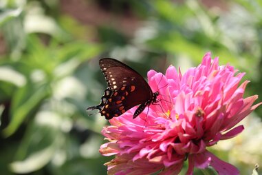 Clay Pit Ponds State Park Preserve
