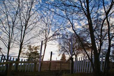 pioneer cemetery
