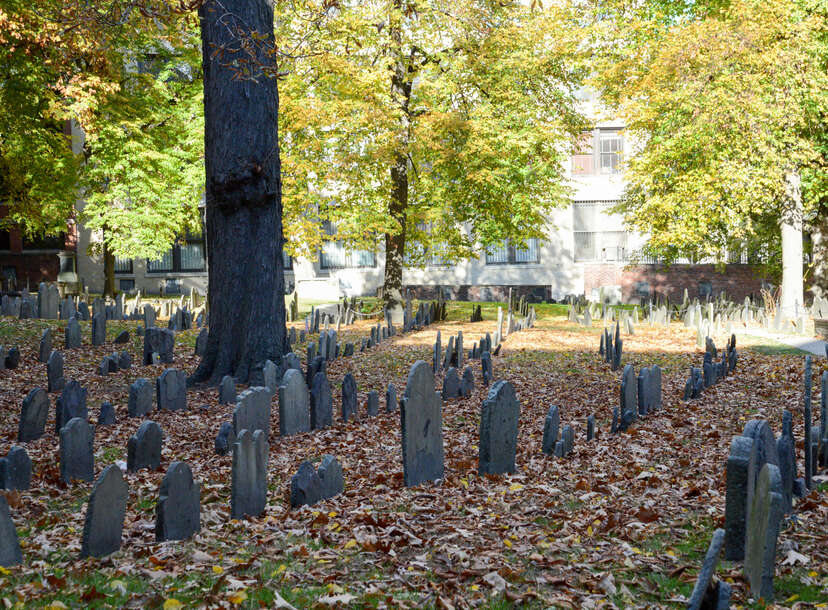 BBC Three - Paranormal: The Girl, the Ghost and the Gravestone