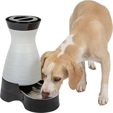 PetSafe Healthy Pet Water Station, 128 oz Capacity - Gravity Pet Water Fountain