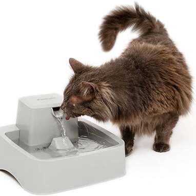 PetSafe Drinkwell Water Fountain for Cats