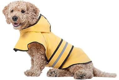 Fashion Pet Rainy Days Slicker Yellow Raincoat