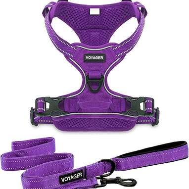 Voyager Dog Harness Dual Leash Attachment No-Pull Control Adjustable Soft by Strong Pet Harness with Leash Included