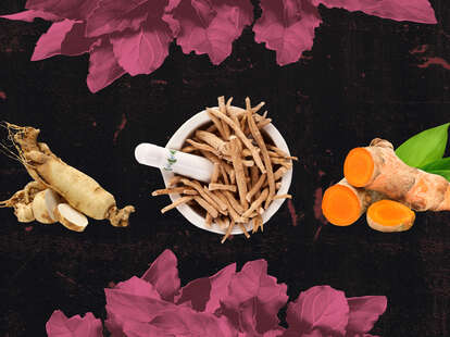 adaptogens