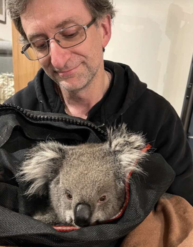 man holding koala 