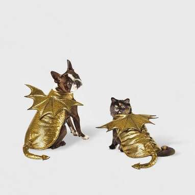 A statement-making gold-colored dragon costume: Hyde & EEK! Boutique Gold Metallic Dragon Dog Costume
