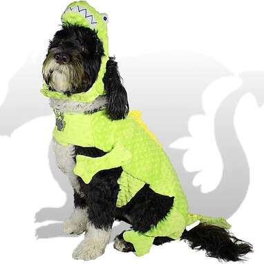A leash-compatible dragon costume that’s perfect for a Halloween walk: Royal Animals Dragon Dog Costume