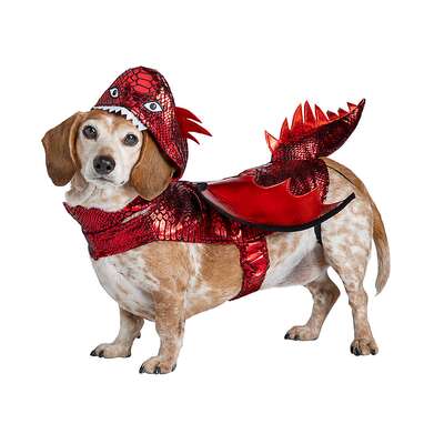 Dog dragon halloween outlet costumes