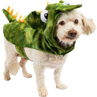 A silly green dragon costume: Party City Green Dragon Dog Costume