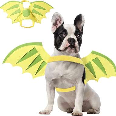 A set of green and yellow wings: Coppthinktu Store Dragon Wings 