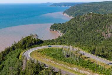 aerial view of forest