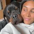 A Rottweiler cuddles against his mom's shoulder.