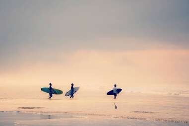 surfers in the ocean