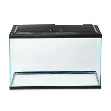 Best budget: Aqua Culture 10 Gallon Aquarium Starter Kit with LED
