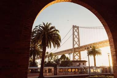 Bridge and a palm tree