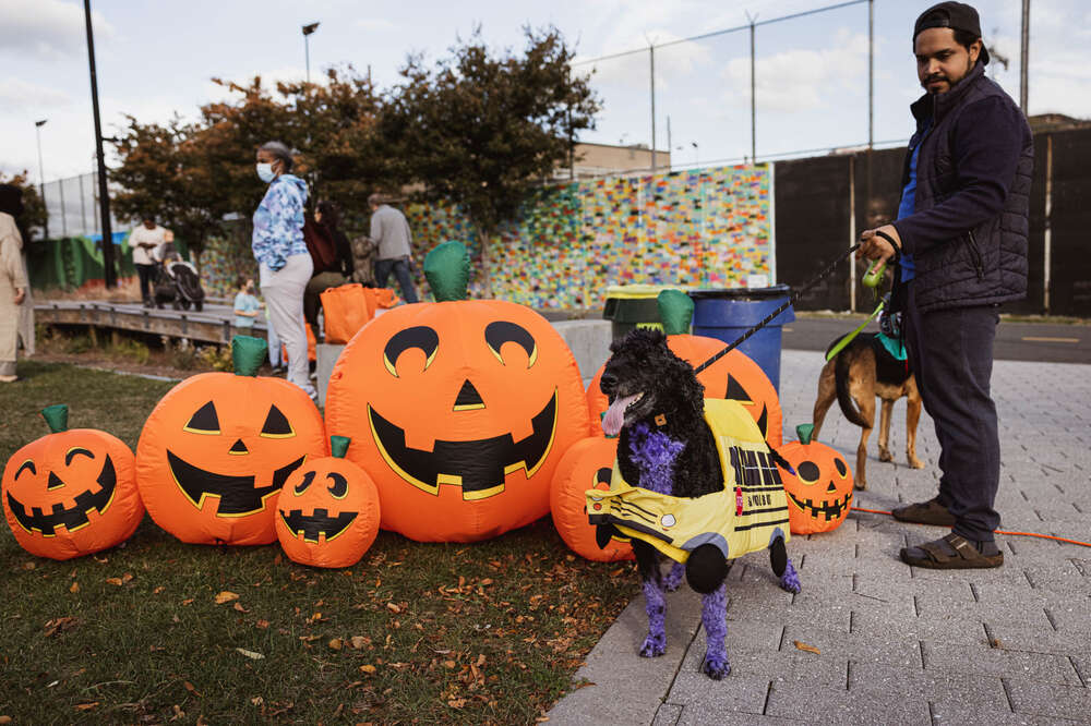 Wicked Fun Ways to Celebrate Halloween Around DC