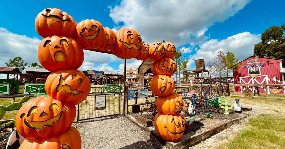 Pumpkin Patches Near Las Vegas: 7 Locations for Some Fall Fun