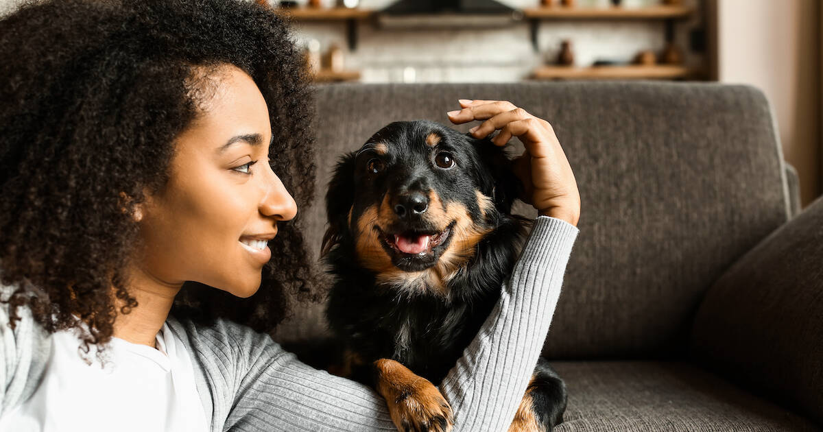 why is petting a dog relaxing