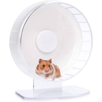 Best hamster hot sale ball for syrian
