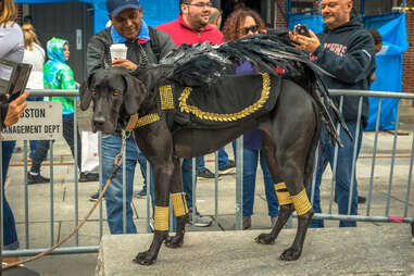 Doggone Halloween Parade