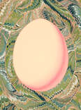egg illusion