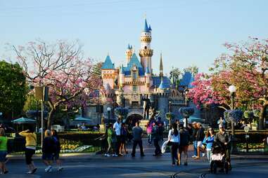 Disneyland castle