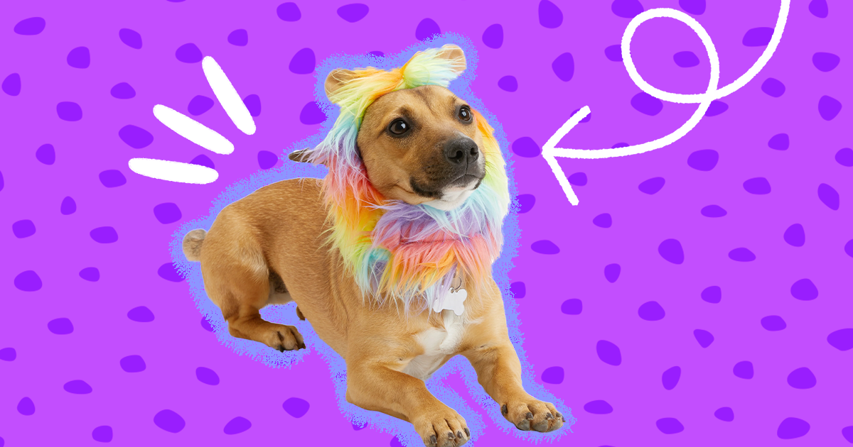 2022-disney-pet-dog-halloween-costume-outfit-lion-king 